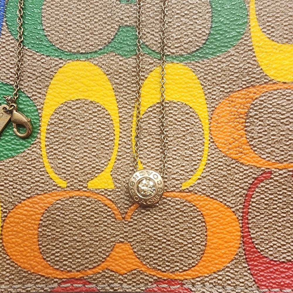 Elegant Coach Rose Gold Open Circle Stone Necklace – Adjustable Length
